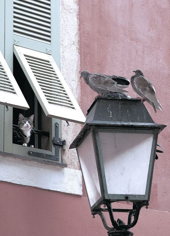 全国青少年足球培训基地落成，助力足球人才培养，全国青少年足球训练营