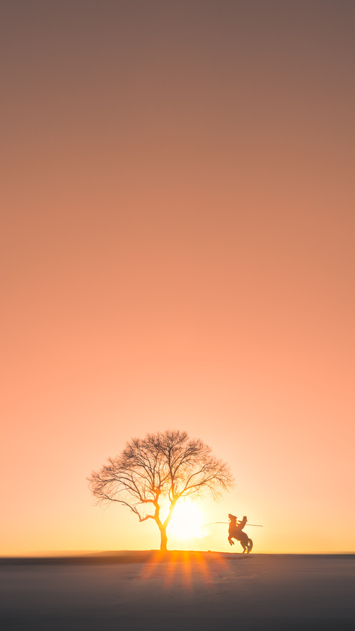 _鹈鹕队潜力无限,目标直指季后赛_,鹈鹕队专区